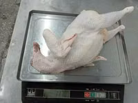 Филе куриное — عکس 2