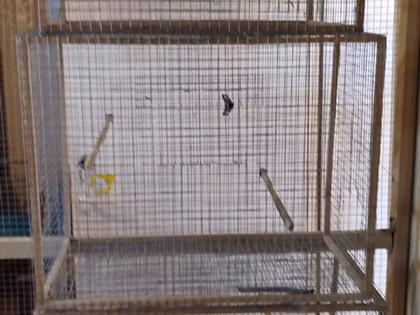 Qefesler tutuqusu,bulbul,amadin saxlamqcun,ucdene qefesi var ucunde