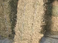 Продаю тюки люцерны — 照片 2