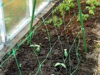 Сетка шпалерная для вьющихся растений.Plasă pentru plante cățărătoare. — عکس 2