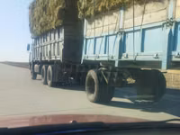 Продам сено Тюк. 15-20кг 1600тг — foto 2