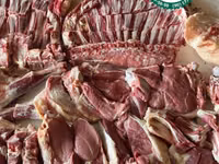 Cừu đực, Cừu — ảnh 5
