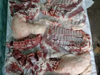 قوچ, Rhon sheep — عکس 2