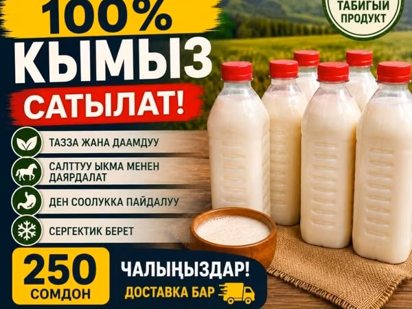 Кымыз сатылат 250соидон ⁸100% тазза
