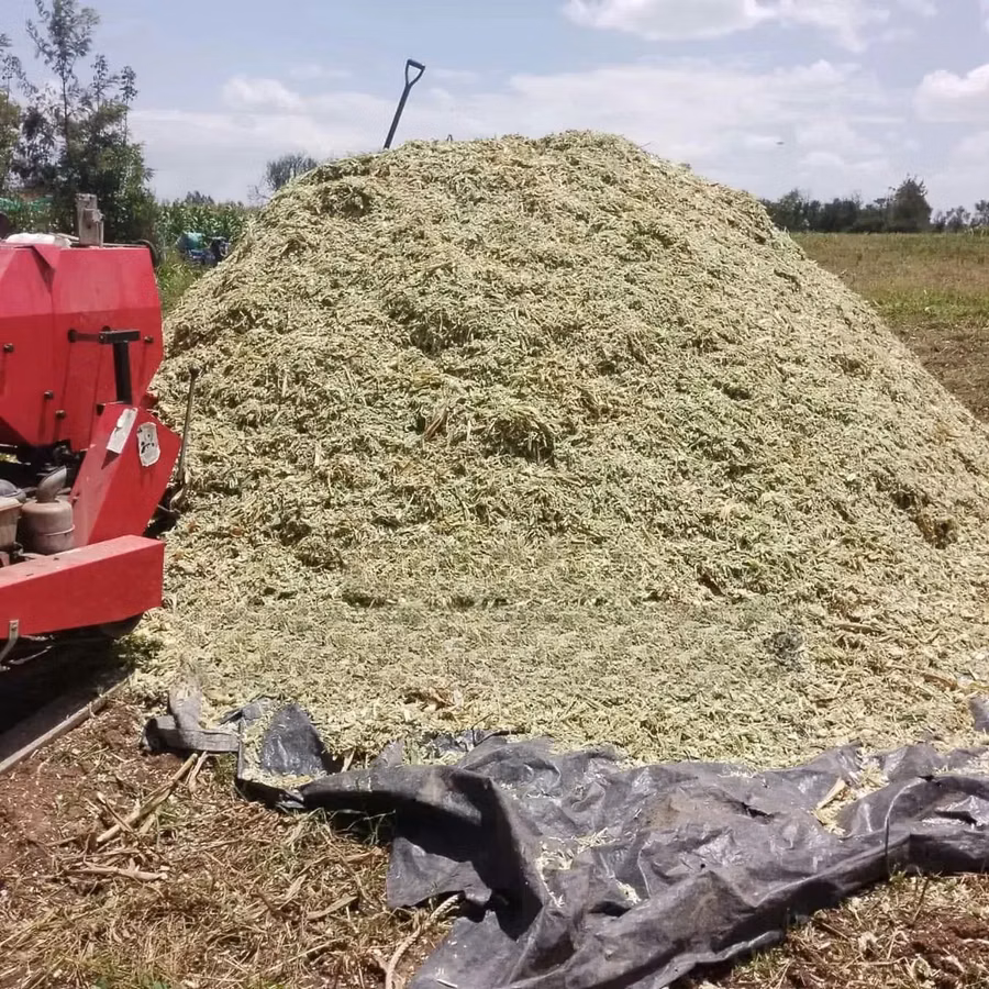 Wrapped, Cylindrical Silage Bales Livestock Feed - Per 60 Kg