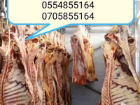 Lembu jantan, Cattle — foto 1