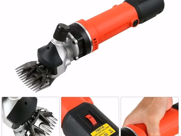 Qoyun qırxan 
Qoyun qirxan 
Qoyun qırxan 
690w