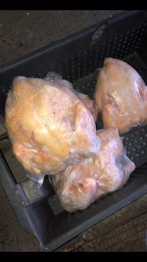 ХАЛЯЛ!!! Оптом и в розницу Куры бройлеры Кафешки,Магазины