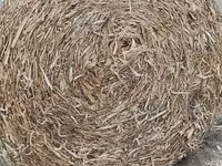 körbálás csutka — फ़ोटो 3