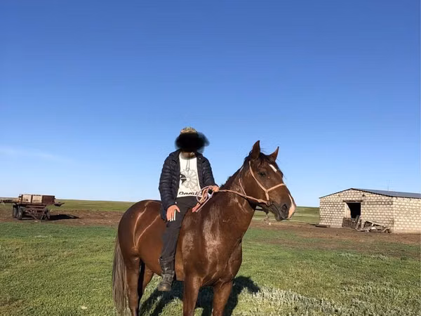 Horse (M), Horses — Kazakhstan