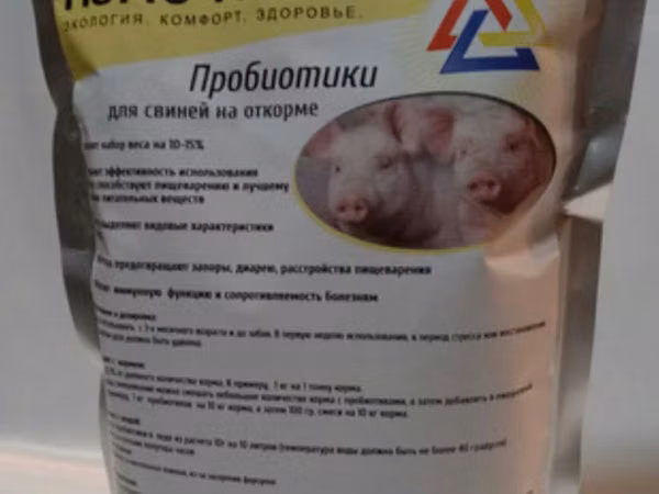 Sow, Pigs — Moldova