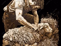 Sheep, Sheep — photo 2