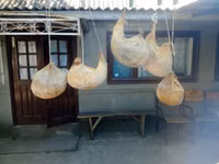 Cheaguri — عکس 2