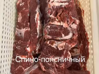 Спинно-поясничный отруб от производителя — फ़ोटो 2
