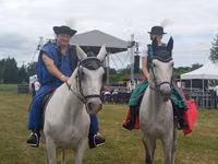 Ngựa cái, Lipizzaner — ảnh 4