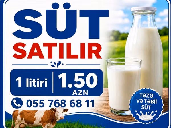 Təzə və təbii inək südü satılır. Gündəlik sağım, saf və qatqısız