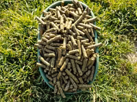 Lucernă granulata — 사진 1