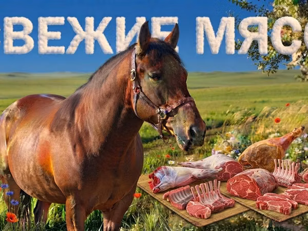 Horse (M), Horse breed — Kazakhstan