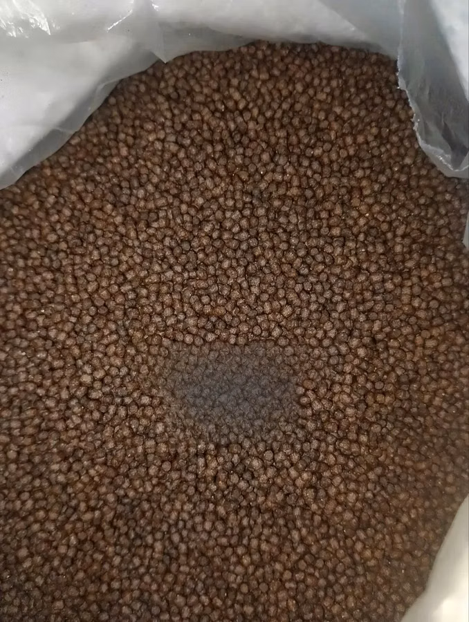 Cat Fish Feed Per Kg