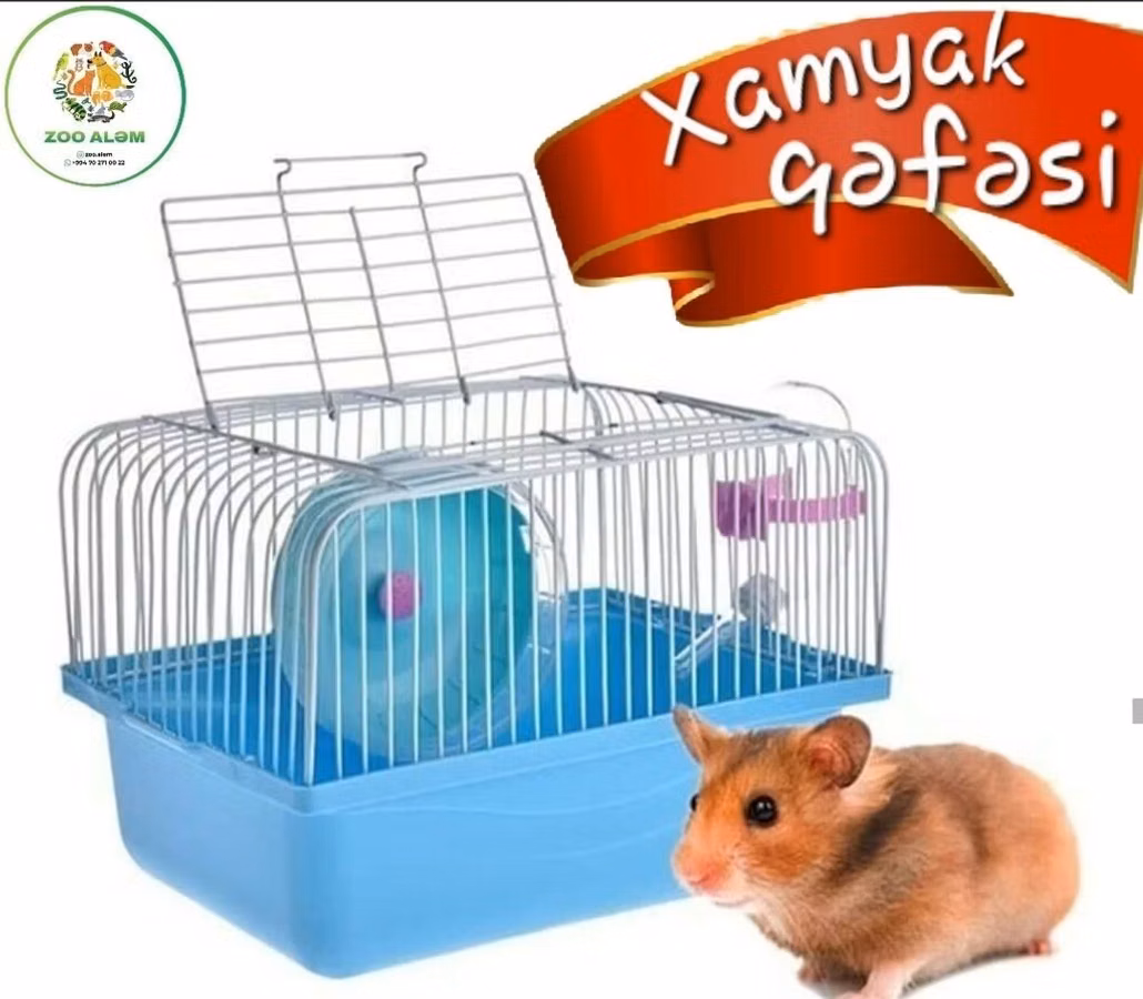Xamyak və cunqarik qəfəsi. Sadə və kompakt dizaynda hazırlanmış bu