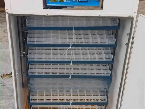 Eggs Incubator, 528 Eggs Incubator Automatic
