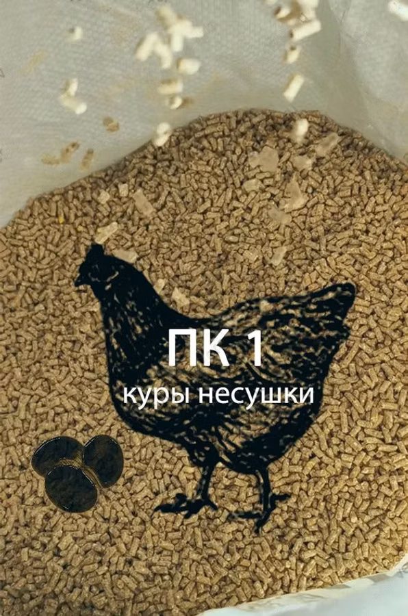 ПК-1 (куры-несушки 17-47 недель)