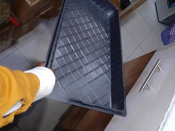 Hydroponic Tray for Beginner Growers - With Holes