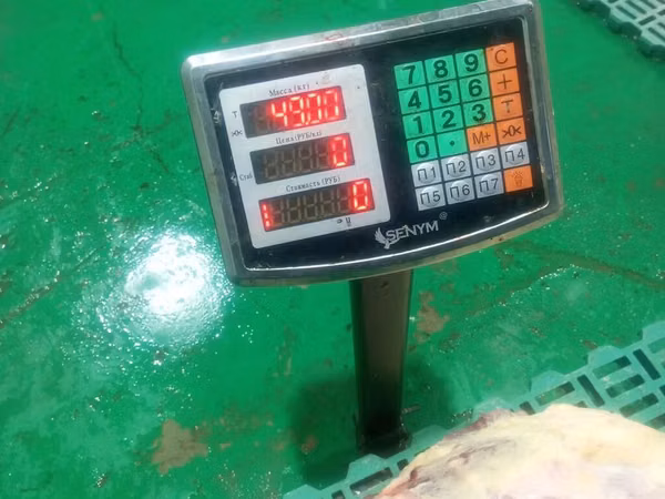 Сатыка жылкы эти уй эти устакан бышырып алып барып беруу услуги выезд