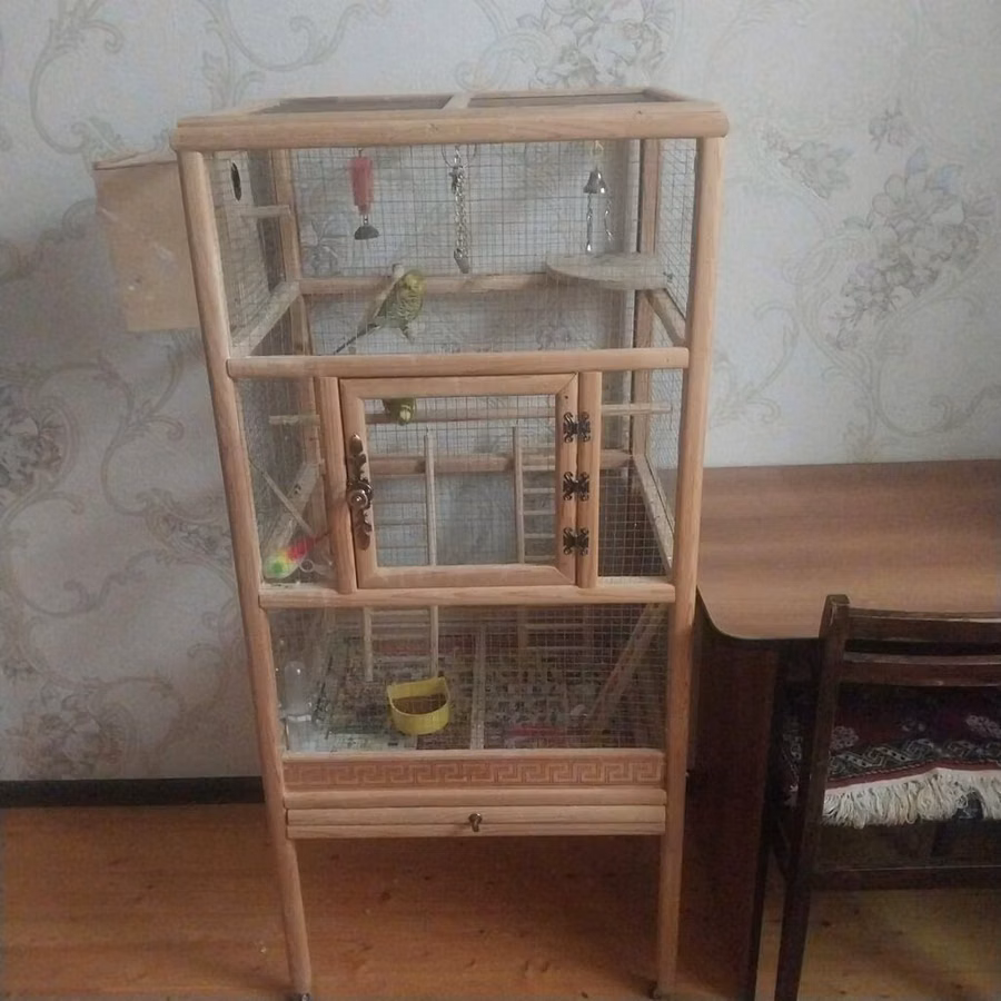 2 dənə quş verlir təcili satılır aşağı yeri də var