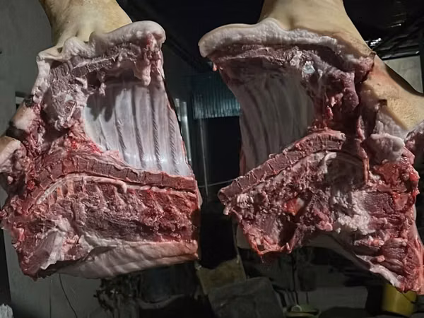 Pigs (batch, sex not specified),  — Kyrgyzstan