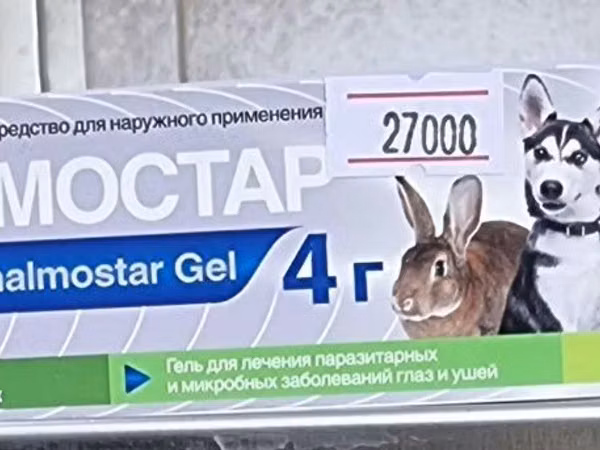 Barcha turdagi hayvonlar uchun
