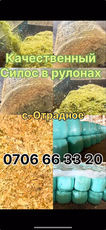 Ыссык-Көл Чуй, Каракол Ак-суу ПРОДАЁТСЯ СИЛОС В РУЛОНАХ! 🌾 Сочный