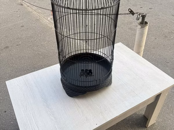 Qara metal quş qəfəsi - Material: möhkəm metal, toz boya örtüklü -