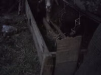 Кормушка для сельскохозяйственных животных (овцы, козы, телята) - — 2 зураг