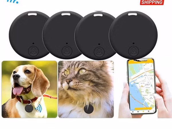 🐾 Ev Heyvanları üçün GPS Cihazı Sevimli dostunuzu hər zaman izləyin!
