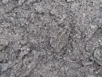 Macuc de Floarea soarelui prăjit.calitate 100%.Edineț. — फ़ोटो 1