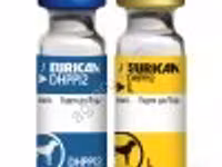 ЭУРИКАН DHPPi+L (EURICAN) Вакцина — ছবি 3
