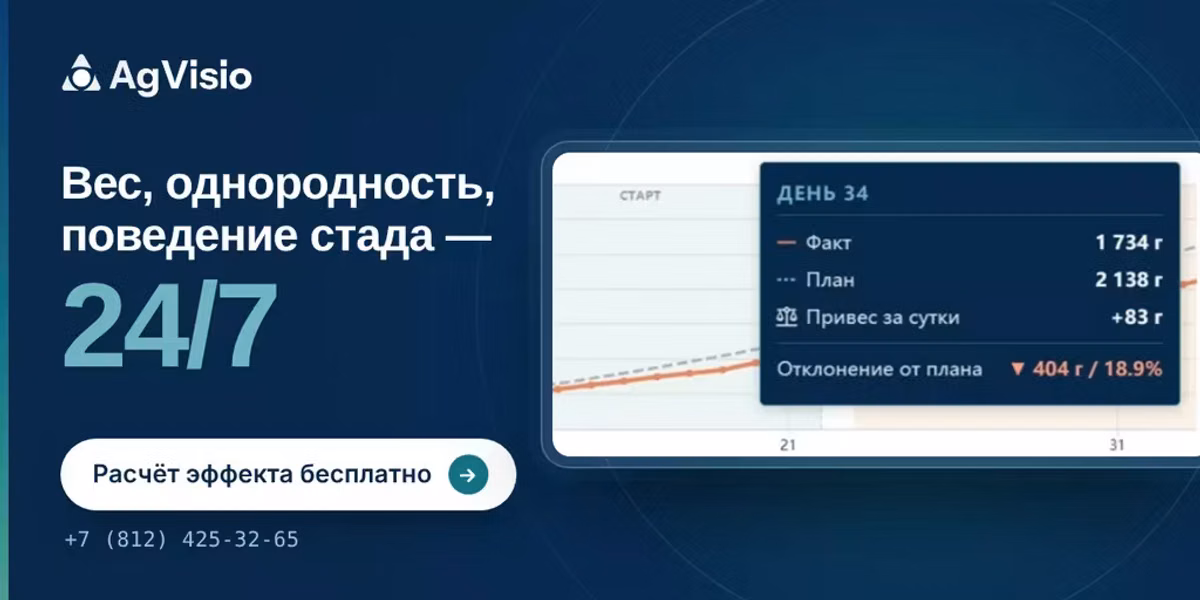 Система бесконтактного взвешивания кур