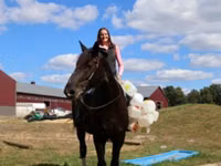 Horse (M), Percheron — photo 6