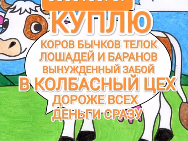 Модиён, Аспҳо — Қирғизистон