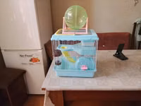 Akvarium balıqları ilə barter olunur.Uzunluğu 27,Eni 28, Hündürlüyü — 照片 2