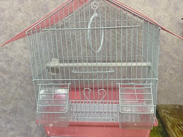 Qəfəslə təmin olunmuş quş evi - Material: metaldan barmaqlıqlar
