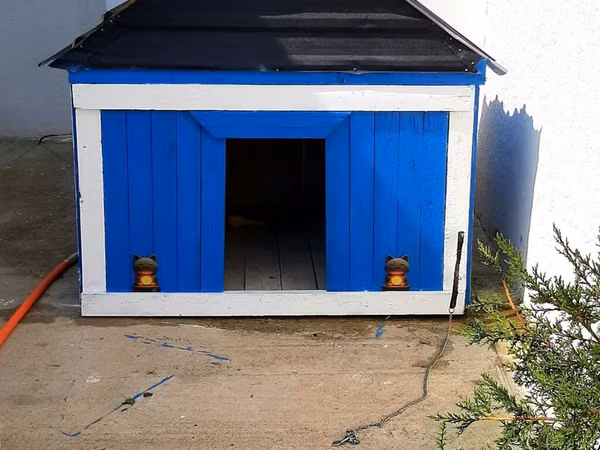 Satılır: İri ölçülü, dekorativ it damı! 🐕 ​Həyətiniz üçün möhtəşəm
