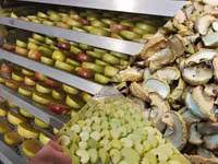 Дегидратор профессиональный для сушки фруктов, овощей, мяса — फ़ोटो 2