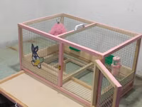 Dovşan,cücə,pişik,hamster,quş ve s kimi ev heyvanlari üçün qəfəsler — عکس 3