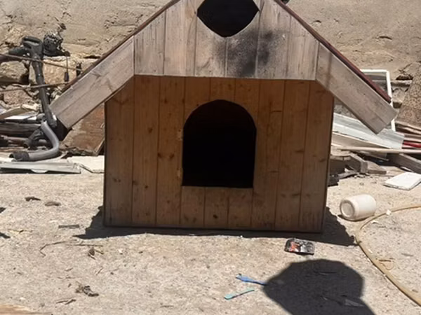 Taxta it evi altida var balaca itler ucun - Material: qalın taxta
