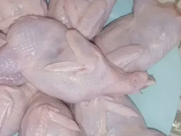 Լօրի միս միս թարմ
