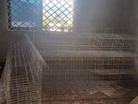 Used Battery Cages — 照片 2