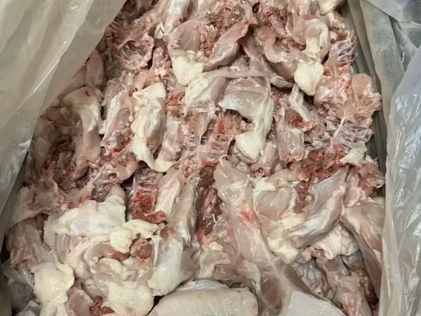 Кишечник куриный