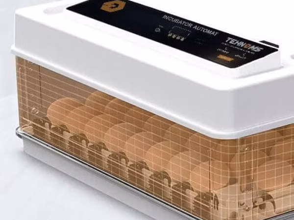 Incubator MS-70